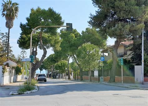 orologeria raggi viale tirreno